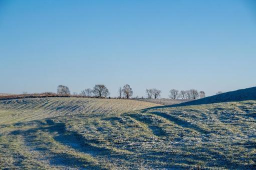 青空の下、影が伸びる霜の丘 丘,牧草地,樹木の写真素材