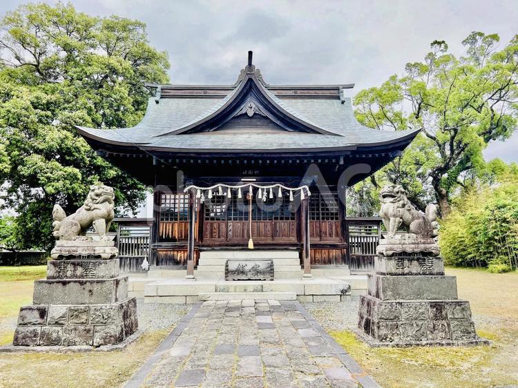素盞鳴神社(祇園神社) 素盞鳴神社(祇園神社),仏閣,寺社仏閣の写真素材