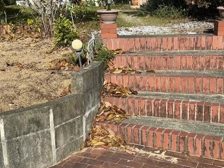 レンガ階段の落ち葉1 レンガ,階段,落ち葉の写真素材