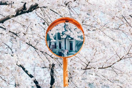 Image of spring, JPG Image of spring, JPG