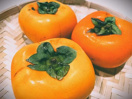 たねなし柿（和歌山県産）３０ 柿,たねなし柿,甘柿の写真素材