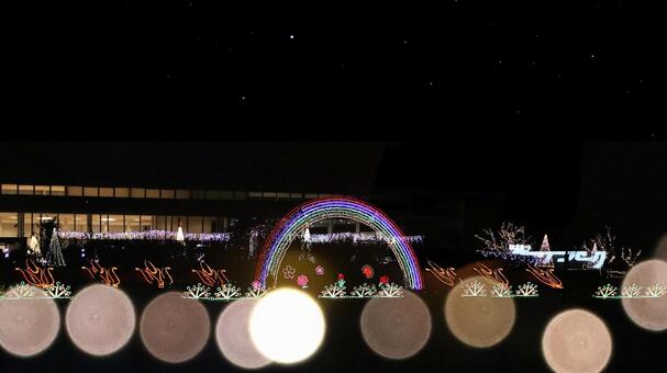 はままつフラワーパーク　イルミネーション イルミネーション,クリスマス,夜景の写真素材
