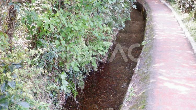 山口県「別府弁天地湧水」の遊歩道で水が流れている場所 山口県,別府弁天地湧水,湧水スポットの写真素材