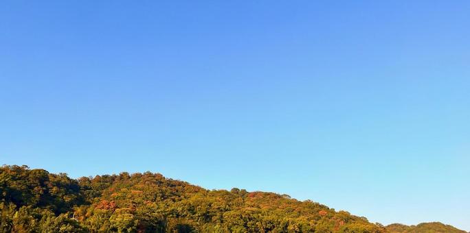 秋の山 空,山,木の写真素材