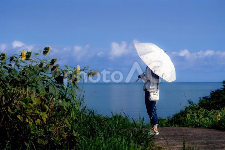 ＜素材＞夏の海と向日葵を眺める日傘の女性 女性,人物,夏の写真素材