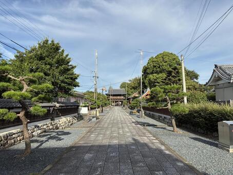 善導寺・参道 善導寺,福岡県久留米市,寺の写真素材