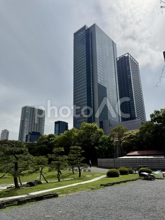 6月　旧芝離宮恩賜庭園 岩,庭石,旧芝離宮恩賜庭園の写真素材