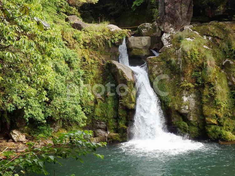 滝　小さな滝　自然 自然,山,森の写真素材
