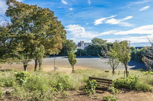 鷺沼公園 鷺沼公園,公園,風景の写真素材