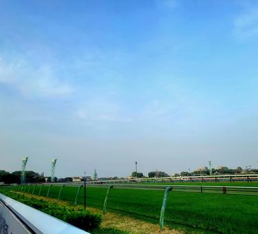 競馬場の初夏 競馬場の初夏 競馬場,競馬,空の写真素材