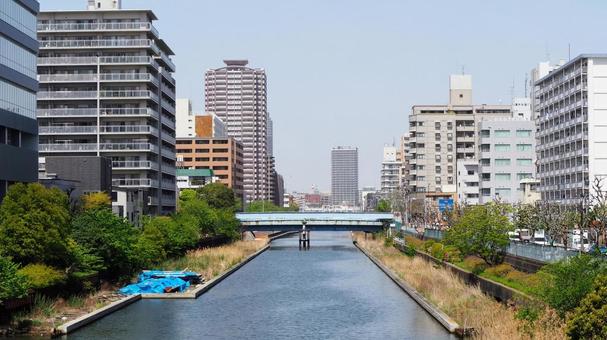 初夏の東京・新緑の木々の横十間川&街並み 初夏の東京・新緑の木々の横十間川&街並み 初夏,横十間川,江東区の写真素材