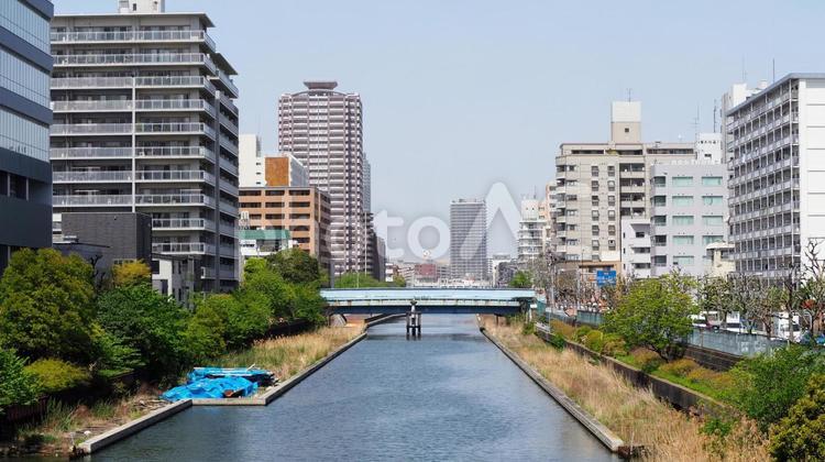 初夏の東京・新緑の木々の横十間川＆街並み 初夏,横十間川,江東区の写真素材