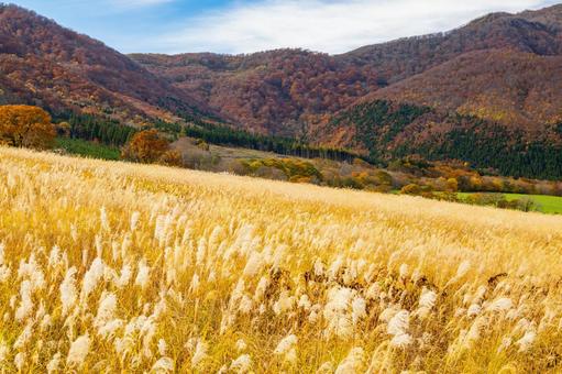 秋の鬼首⑾ 秋,紅葉,ススキの写真素材