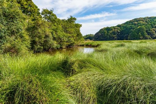 静岡県磐田市の鶴ケ池　10月秋の池の景色 日本,静岡県,磐田市の写真素材