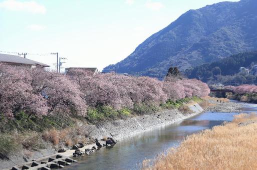景色 景色の写真