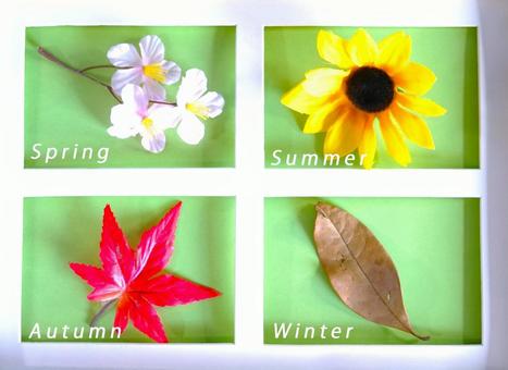 四季の植物(英文字) 四季の植物(英文字) 四季,植物,桜の写真素材