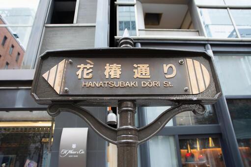 銀座花椿通り 銀座,花椿通り,都会の写真素材