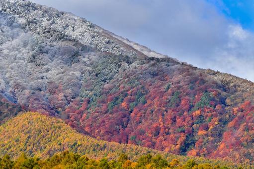 初雪の飯綱山と山麓の紅葉 山,雪,新雪の写真素材