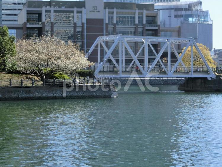 汽車道【横浜】 汽車道,横浜,鉄橋の写真素材
