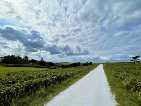 宗谷丘陵・白い道02 宗谷,丘陵,北海道の写真素材