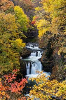 秋の鳳鳴四十八滝⒄ 秋,紅葉,滝の写真素材