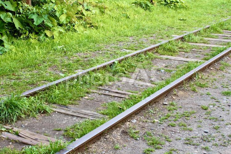 草の生えた線路4 道路,線路,旧手宮線の写真素材