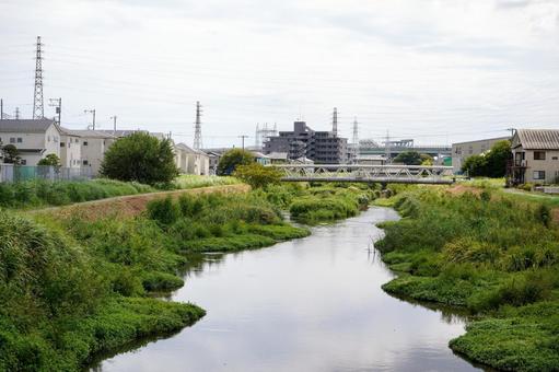 穏やかな夏の川と緑 穏やかな夏の川と緑 川,緑,自然の写真素材
