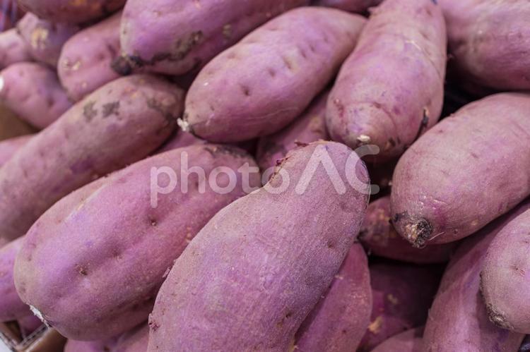 複数のさつまいも 3739 さつまいも,大量,野菜の写真素材