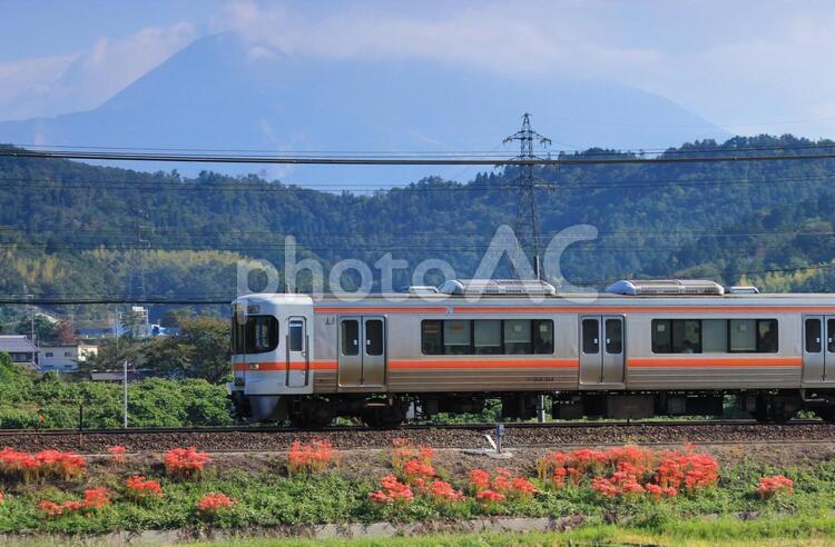 彼岸花咲く鉄道風景と滋賀県の伊吹山を望む 秋,交通,彼岸花の写真素材