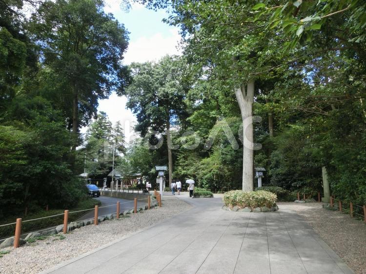 櫻木神社の風景-17 櫻木神社,千葉県野田市,参道の写真素材