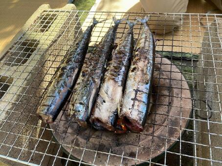 七輪で焼く秋刀魚 秋刀魚,焼き魚,塩焼きの写真素材