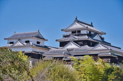 松山城 松山城,白,現存の写真素材