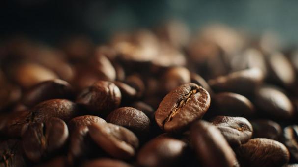 香り立つ挽きたてのコーヒー豆 香り立つ挽きたてのコーヒー豆の写真