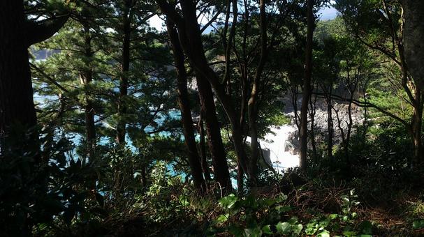木々の間からちょっとだけ見える伊豆の海 木々の間からちょっとだけ見える伊豆の海の写真