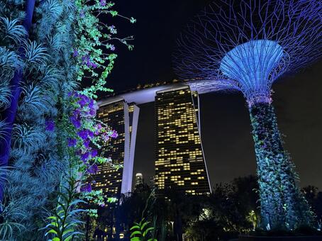 マリーナベイサンズ マリーナベイサンズ,シンガポール,シンガポール観光の写真素材