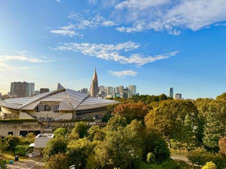 秋空と木々と新宿のスカイラインの絶景 新宿,青空,空の写真素材