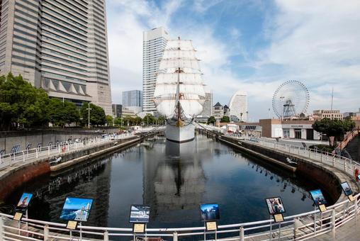 帆をいっぱいに張った帆船日本丸4 帆をいっぱいに張った帆船日本丸4 帆船,総帆展帆,帆の写真素材