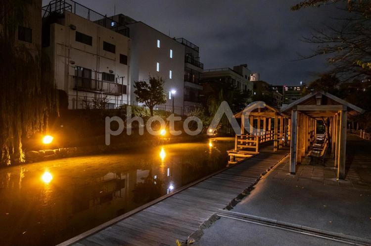 木場親水公園　夜景 木場親水公園,木場,夜の写真素材