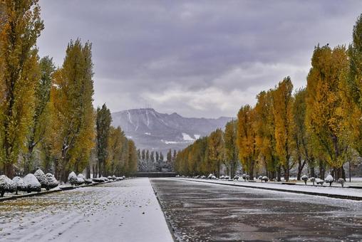初冬の前田森林公園 初冬,前田森林公園,雪景色の写真素材