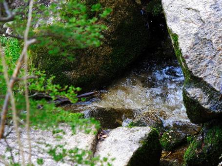 渓流17 渓流,沢,水の写真素材