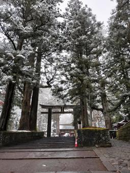 冬の日光東照宮 冬の日光東照宮 参道,日光東照宮,鳥居の写真素材