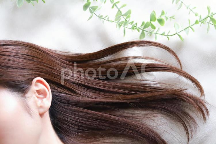 女性の髪の毛　ヘアケアイメージ 髪の毛,ヘアケア,つやの写真素材