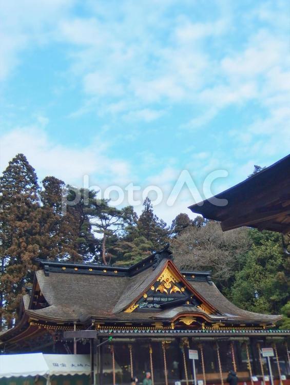 八幡宮の正月 八幡宮,大崎八幡,仙台の写真素材