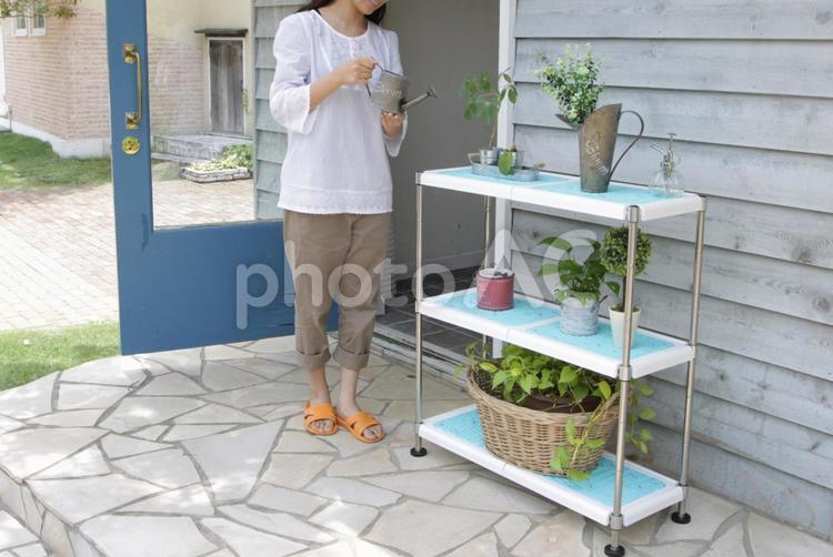 鉢植えに水をあげる若い女性 女性,女子,日本人の写真素材