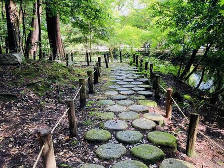 石上神宮 鏡池の歩道 石上神宮 鏡池の歩道の写真