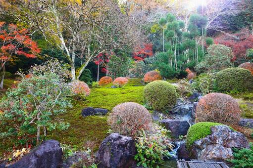 奥殿陣屋の蓬菜の庭の秋の風情 奥殿陣屋,蓬菜の庭,秋の風景の写真素材