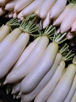 大根 冬大根,だいこん,おでんの写真素材