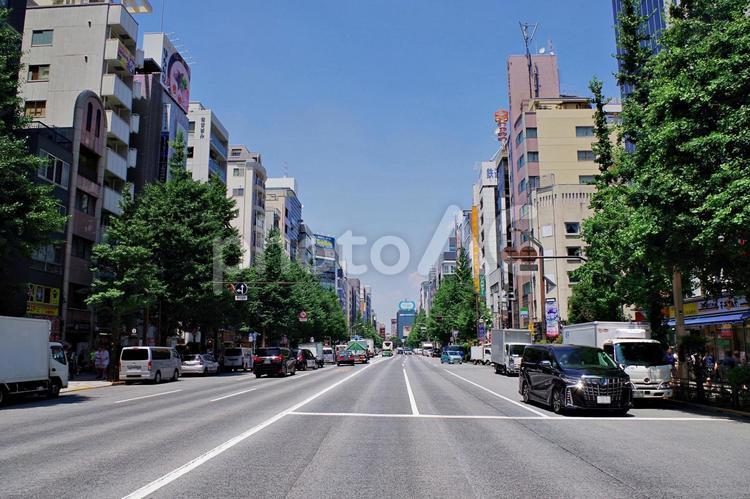 秋葉原2025夏　中央通り北向き 秋葉原,中央通り,外神田3丁目の写真素材