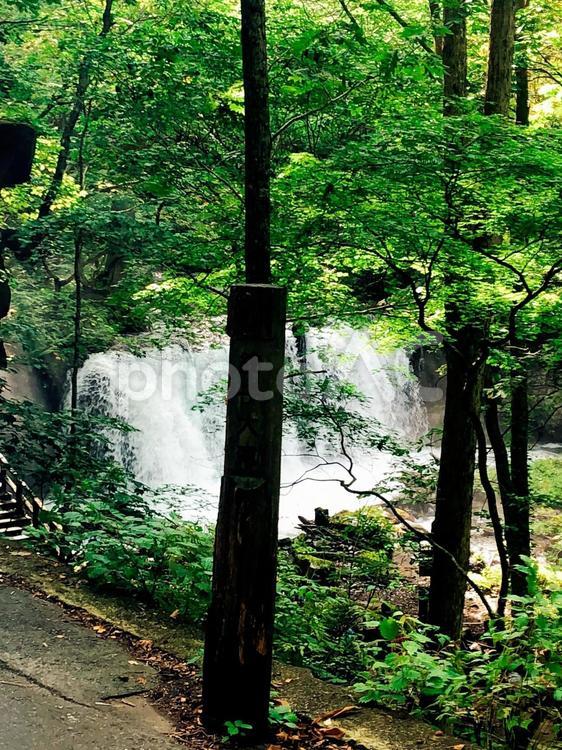 奥入瀬渓流　青森県十和田3 奥入瀬渓流,奥入瀬川,十和田八幡平国立公園の写真素材