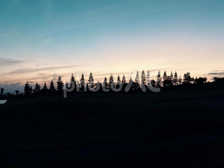 幻想的な林の景色 林,山,夕焼けの写真素材